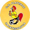 https://img.ajpgeorgia.com/img/football/team/63b0933cc303927659846a4ed54b1522.png