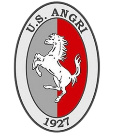 https://img.ajpgeorgia.com/img/football/team/65e21fd9c6ec9323b2d5495d206b6993.png