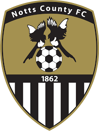 https://img.ajpgeorgia.com/img/football/team/9e230c89a846b9cadf91884918fa7611.png